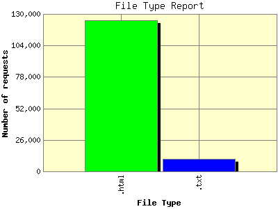 File Type Report: Number of requests by File Type.